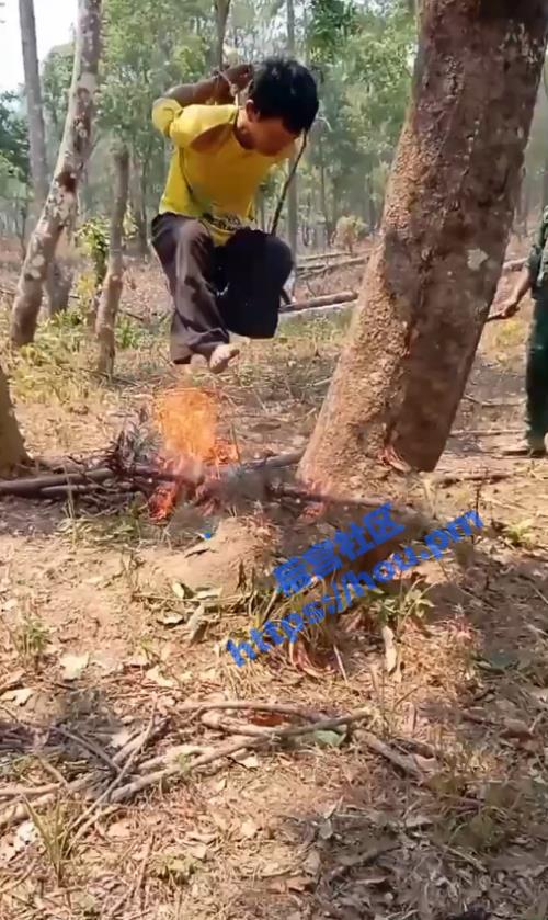 缅北真实烤火惩罚 悲惨小伙被吊在树上下面点火 表演烧烤活人